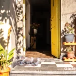 Potted plants next to a yellow Front door.