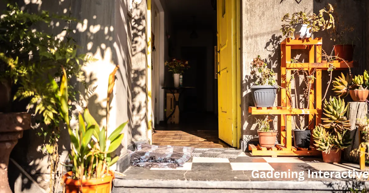 Potted plants next to a yellow Front door.